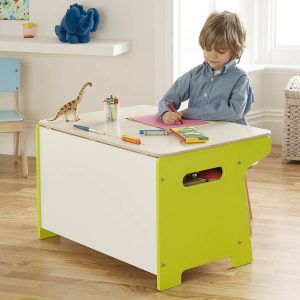 Dinosaur Toy Box